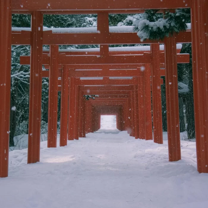 A Virtual Visit to a Japanese Shrine