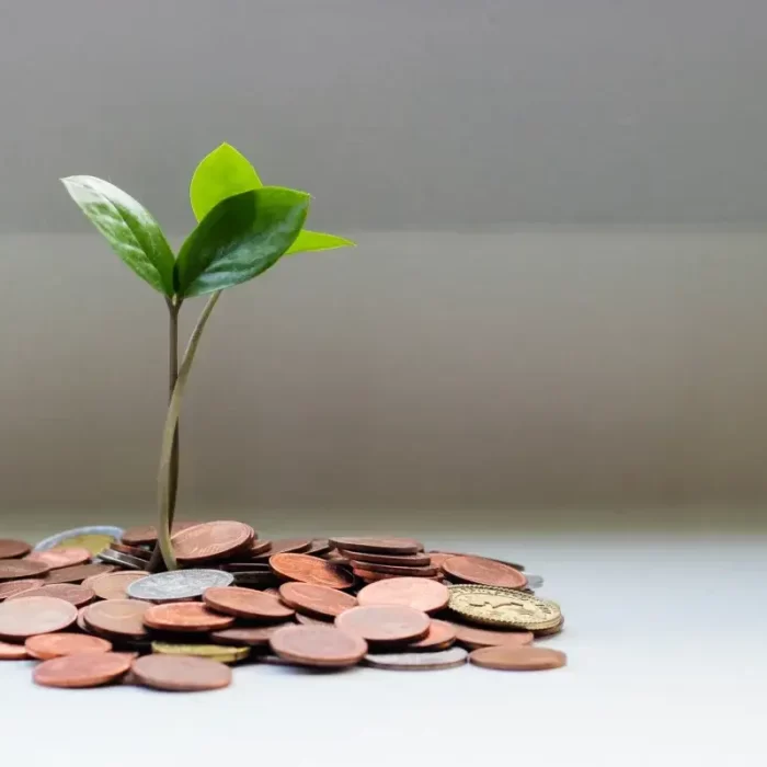 Japan’s Foreign Direct Investment into Africa’s Digital Economy is Rising
